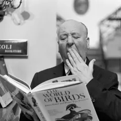 Alfred Hitchcock bâille en feuilletant un livre sur les oiseaux à la librairie Rizzoli. Une scène de littérature blanche.