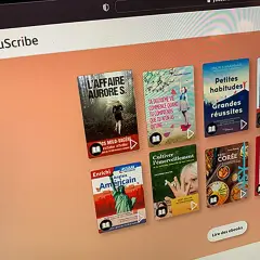 Écran YouScribe affichant des couvertures d'ebooks variés, dont "L'Affaire Aurore S." et "Anglais Américain". Un avis sur la plateforme est visible.