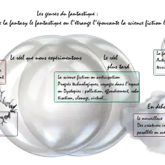 Schéma illustrant la différence entre fantastique et science-fiction, avec des bulles décrivant l'épouvante, le fantastique, la science-fiction, la fantasy et le merveilleux.