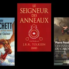 Les meilleurs livres fantasy adulte : "La Huitième Couleur" de Terry Pratchett, "Le Seigneur des Anneaux" de J.R.R. Tolkien et "Les Lames du Cardinal" de Pierre Pevel.