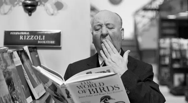 Alfred Hitchcock bâille en feuilletant un livre sur les oiseaux à la librairie Rizzoli. Une scène de littérature blanche.
