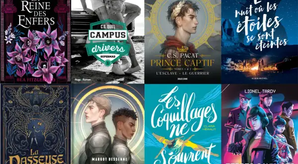 Affiche de livres de littérature young adult : "La Reine des Enfers", "Campus Drivers", "Prince Captif", "La nuit où les étoiles se sont éteintes", "La Passeuse de mots", "Absolu", "Les Coquillages ne s'ouvrent qu'en été", "Terres Sauvages".