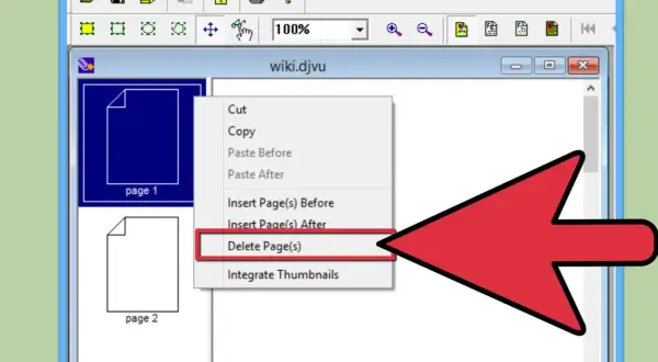 Menu contextuel dans DjVu Solo, option "Delete Page(s)" sélectionnée pour supprimer une page du document.